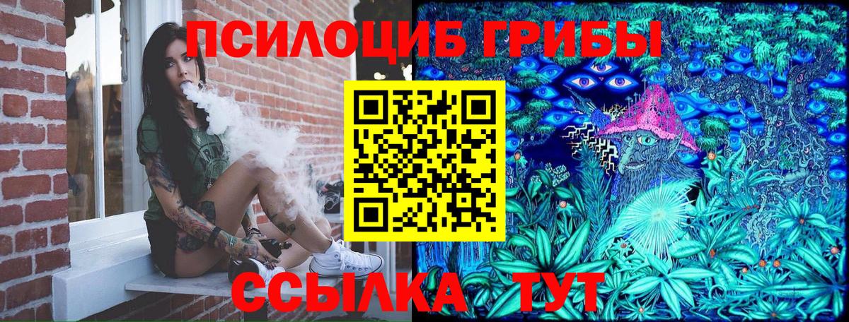 Псилоцибиновые грибы прущие грибы Ноябрьск