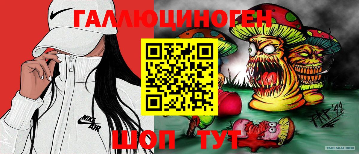 Псилоцибиновые грибы GOLDEN TEACHER  купить наркотики цена  Ноябрьск  Вход с VPN 